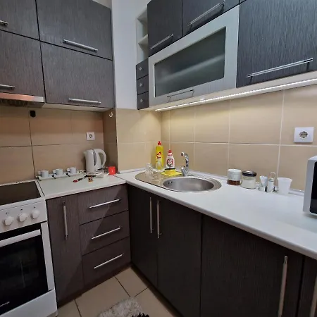 Centar S Apartment Nis