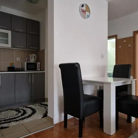 Centar S Apartment *